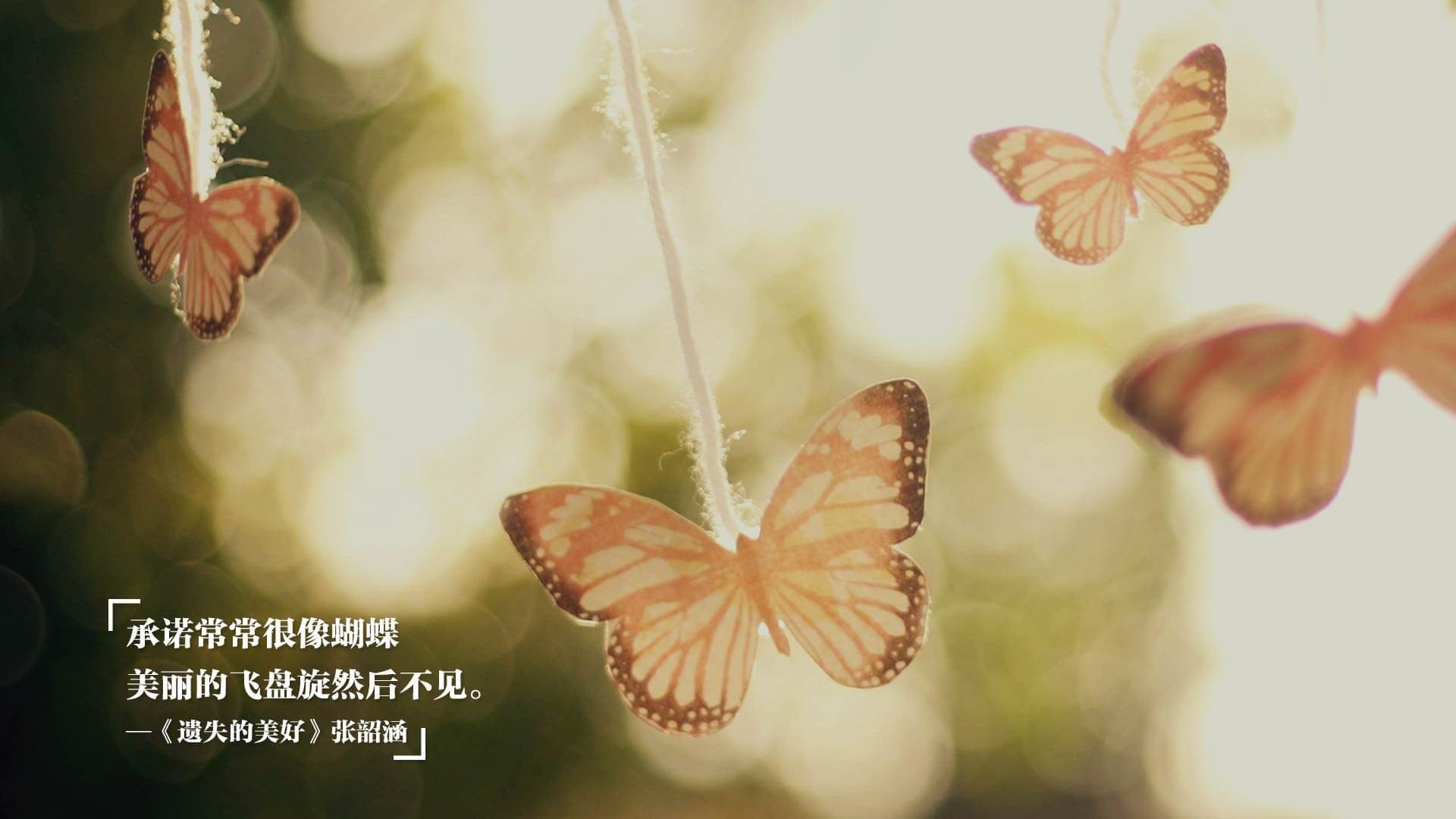 巨龙过境!杜兰特49分摧毁独行侠防线,广厦团队篮球铸就关键胜利