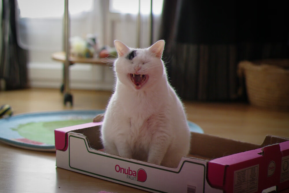 双城记，维尼修斯点亮的未来，与巴萨赢下的现在