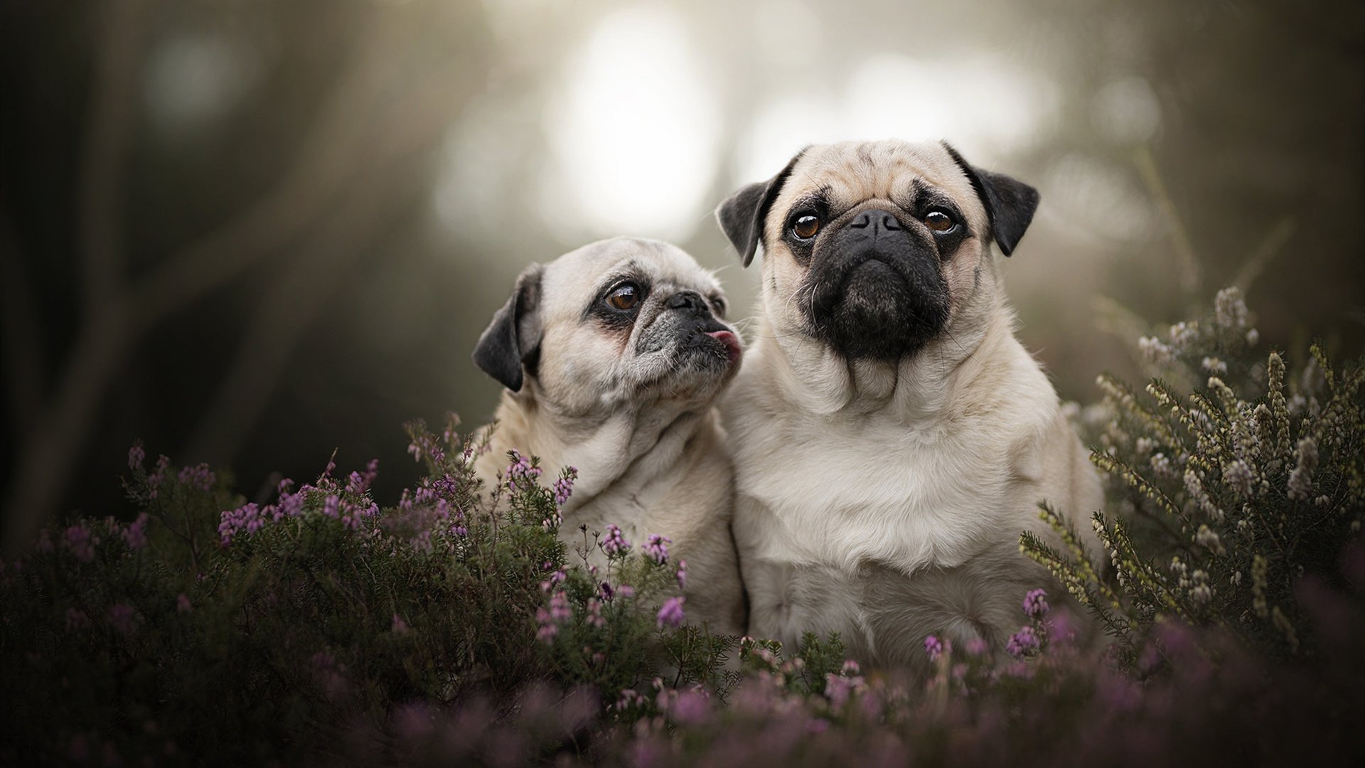 开云体育在线-绿茵交响曲，福登，欧冠决赛夜攻防转换的隐形指挥家