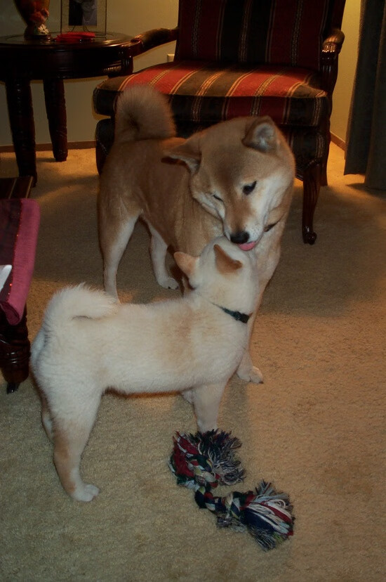 定心与雄心,湖人的昨日决胜,与一道来自东部的未来暗影