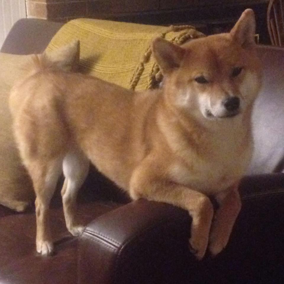 当关键先生不再是预演剧本,拉梅洛如何用非典型胜利重写尼克斯快船之战