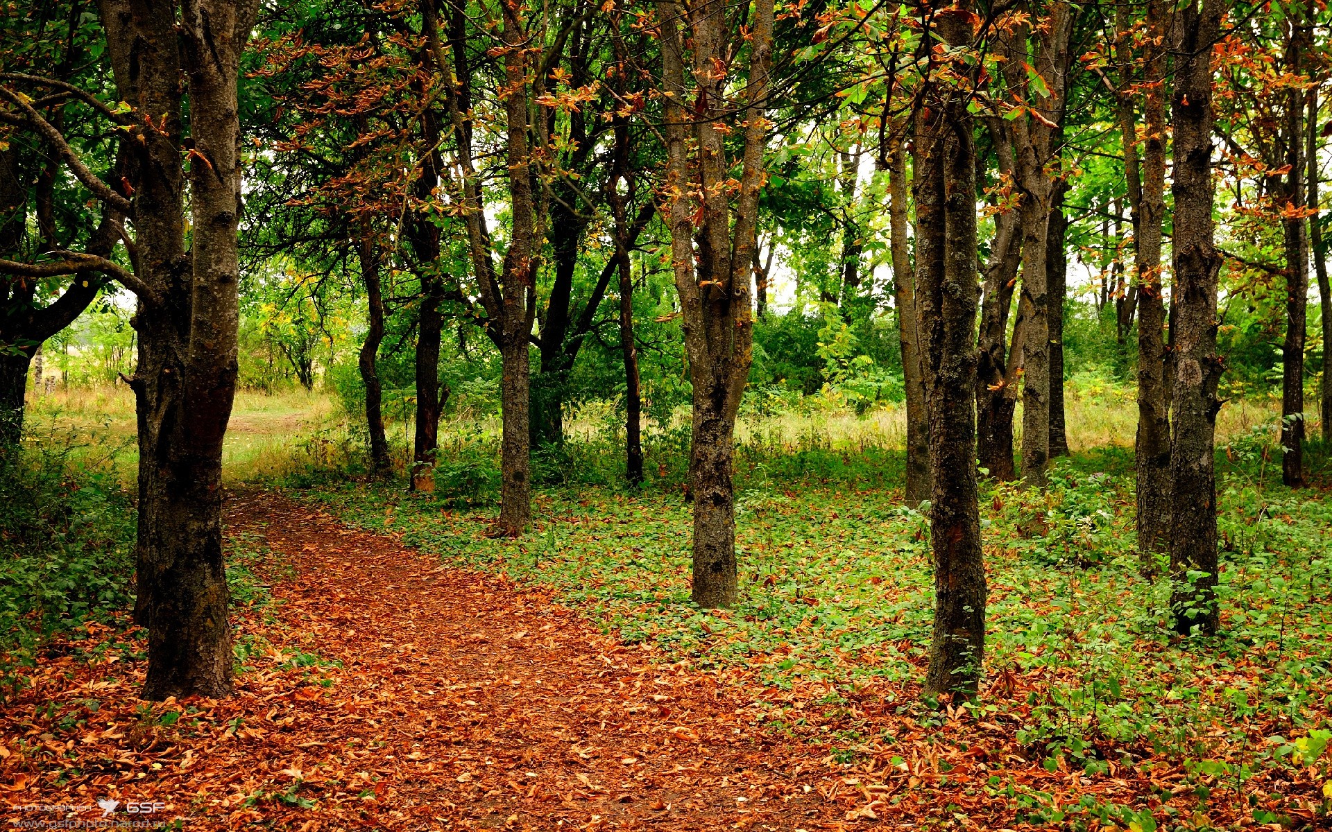 冷血计时器,乔治第四节18分撕裂热火防线