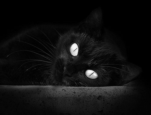 节奏革命，加克波如何用非典型胜利，为足球定义唯一性