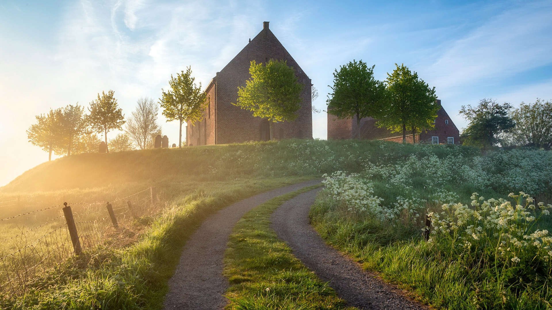 比分之外，骑士的纪律森林如何让奇才的魔法哑火，以及塔图姆启示的超稳定态