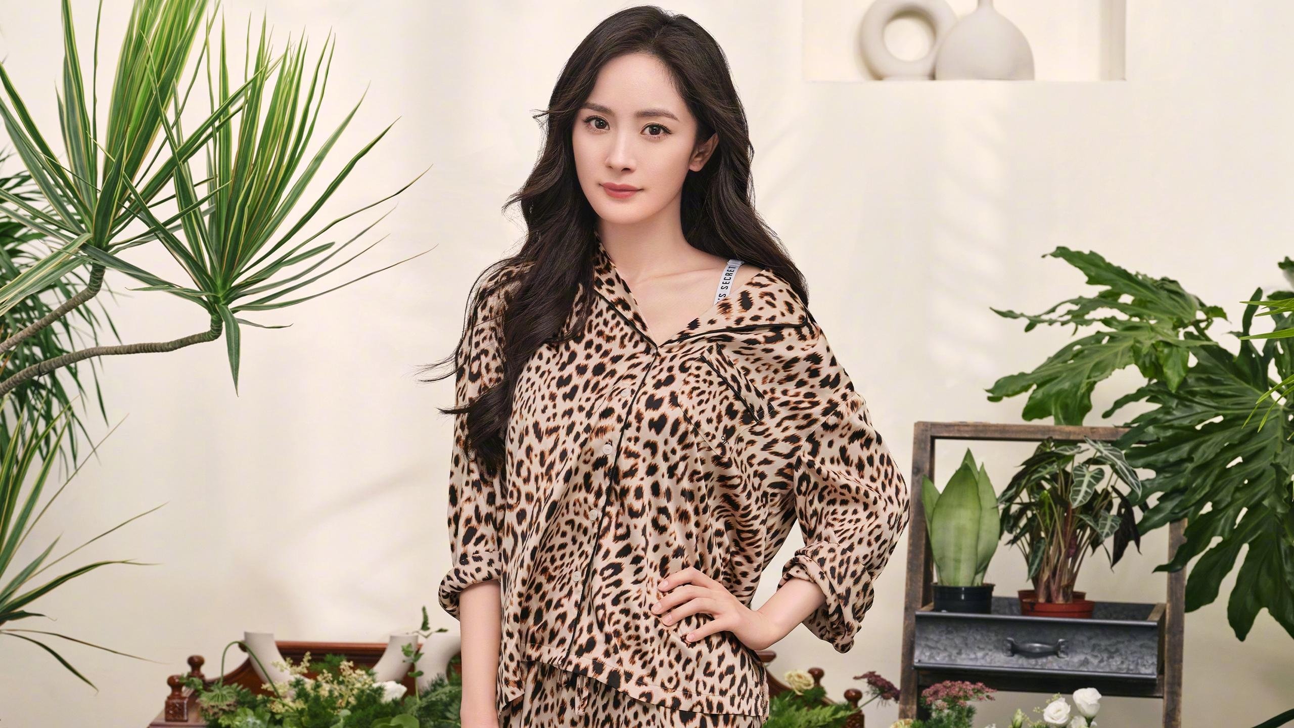 跨界之战，欧冠的战术博弈与CBA王朝更迭的奇妙共振