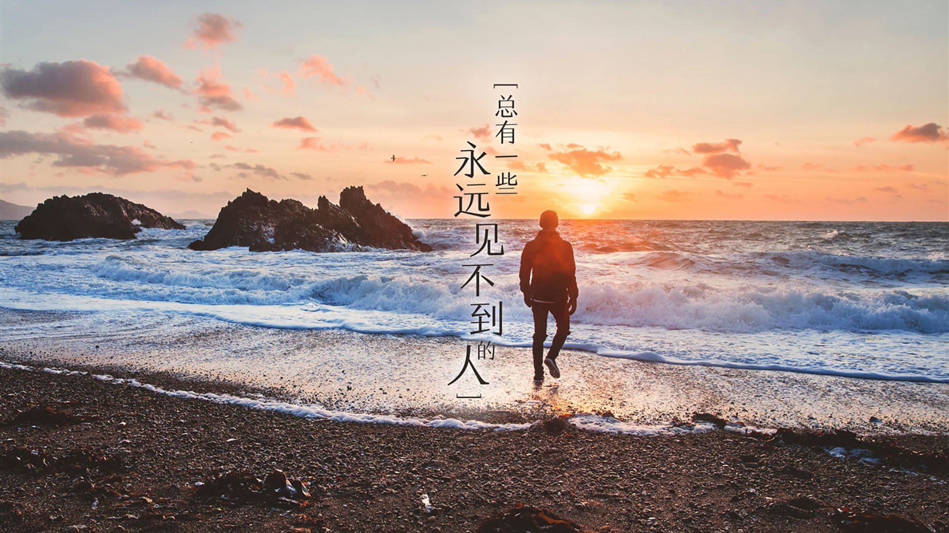 狼群撕碎巨人!贝恩暴雨三分击穿费城,森林狼的防守盛宴与新生代宣言