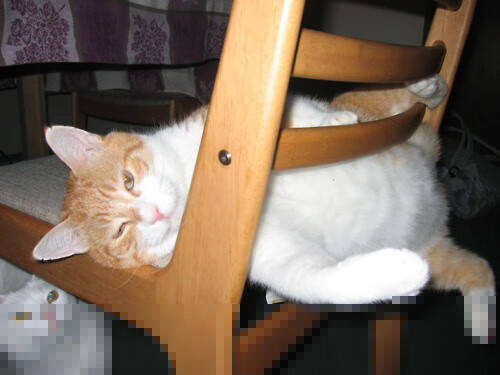 铁闸定江山，当范戴克成为西班牙狂潮下的反向胜负手