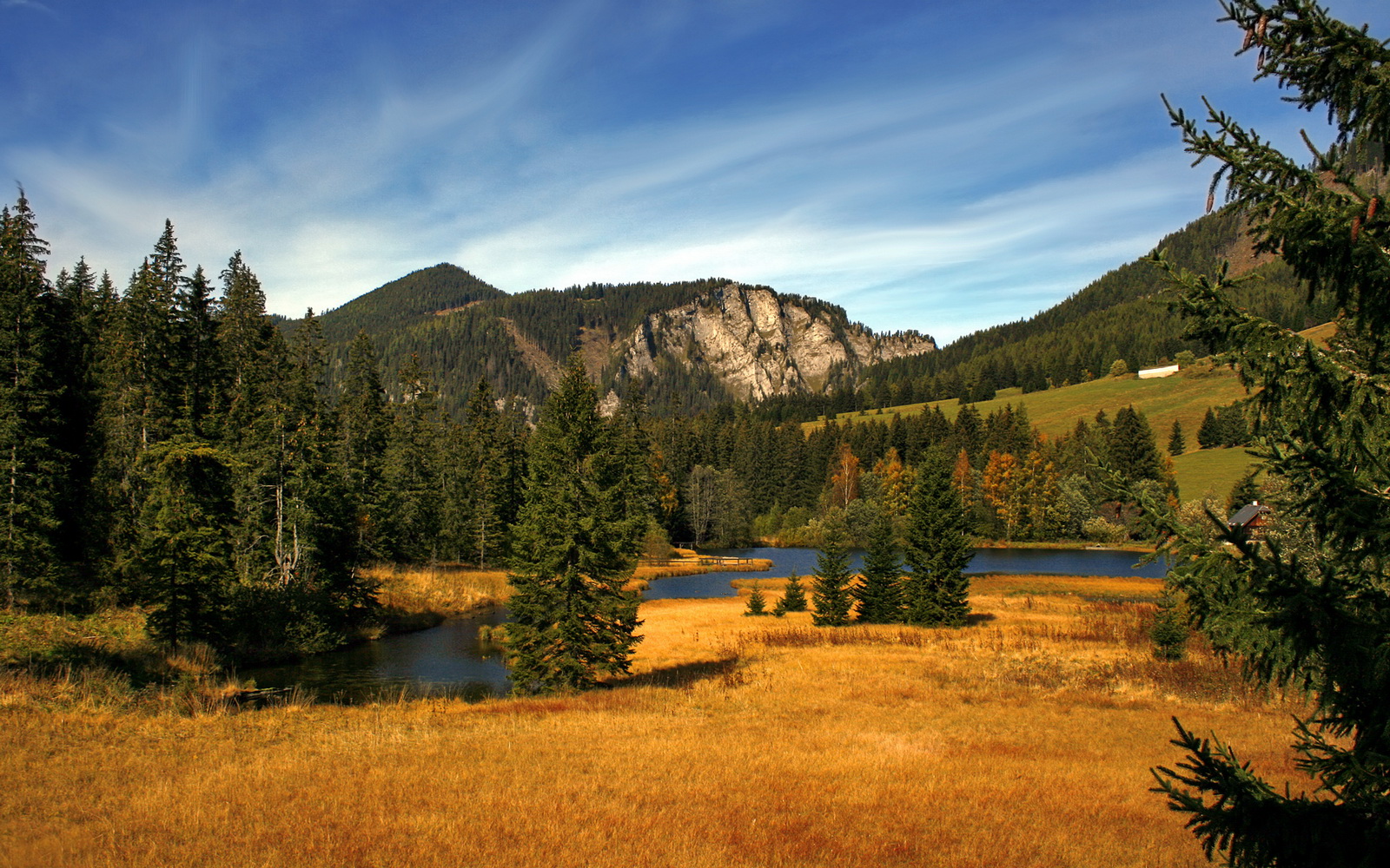 当篮球遇到欧冠，独行侠速度制胜的跨时空对话