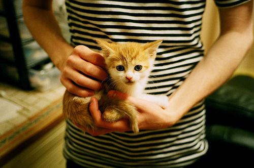 南美风暴席卷北非,当秘鲁在资源战场收割埃及,阿圭罗式人物如何改写规则?