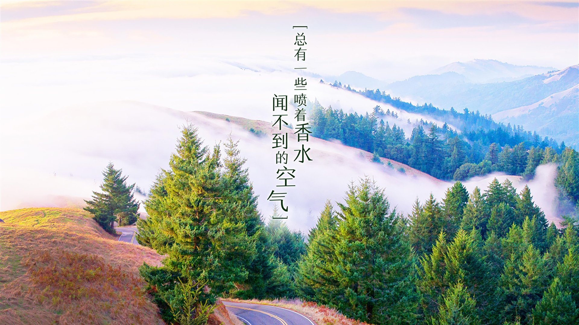 沙漠之鹰啄伤斗牛士的梦,当佩德里的光芒,照亮了C组最冷的早晨