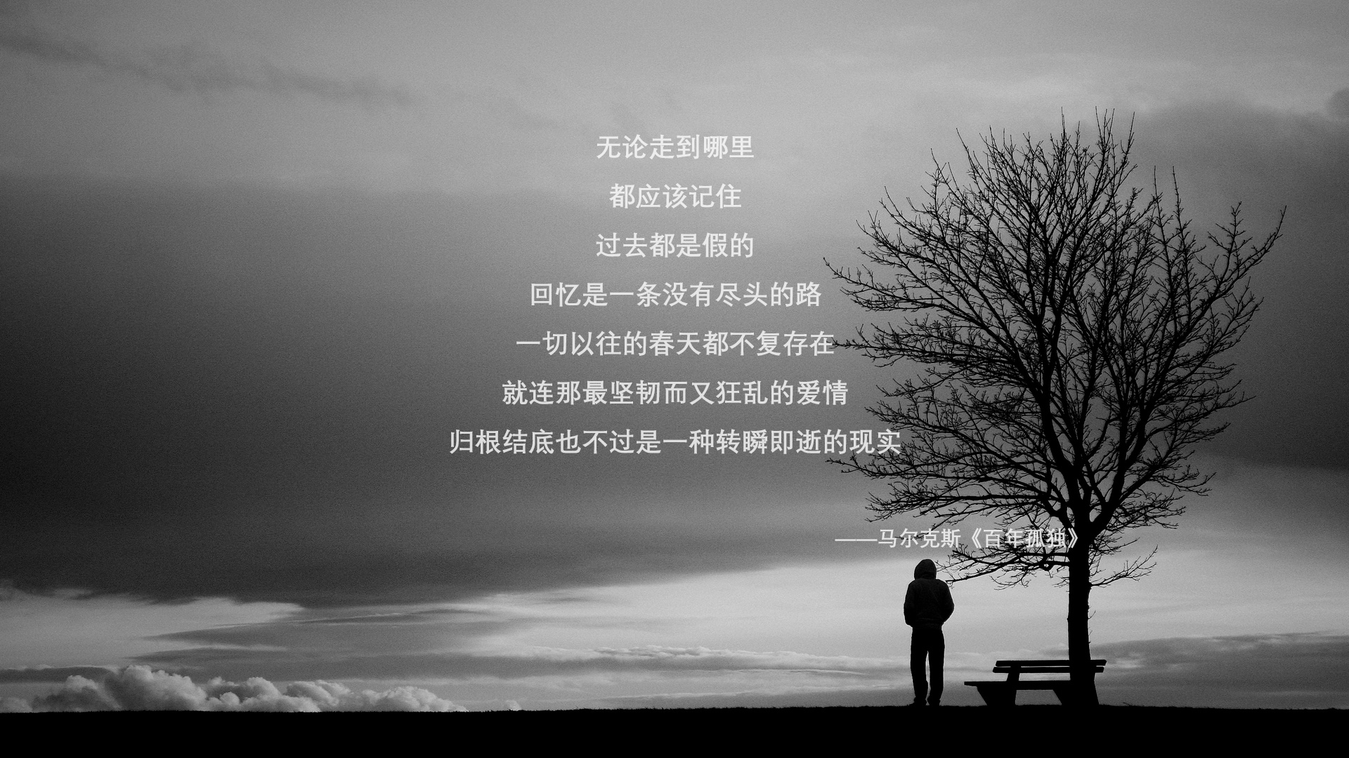 沙漠奇迹的注脚，2026年那个夜晚，迪亚斯用唯一定义了卡塔尔的黄金时代