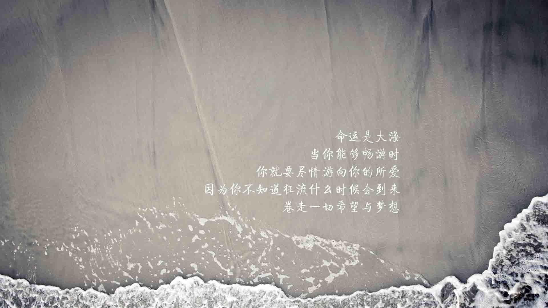 巴格达红与斗牛士之殇,2026世界杯D组,当命运在补时第7分钟偏执转向